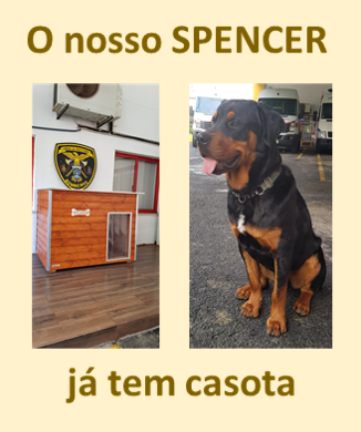Read more about the article O nosso Spencer já tem casa!